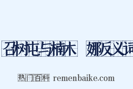 召树屯与楠木婼娜反义词是什么意思的图片